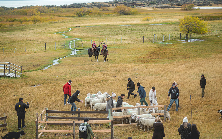 Tarde de campo-1 (2)
