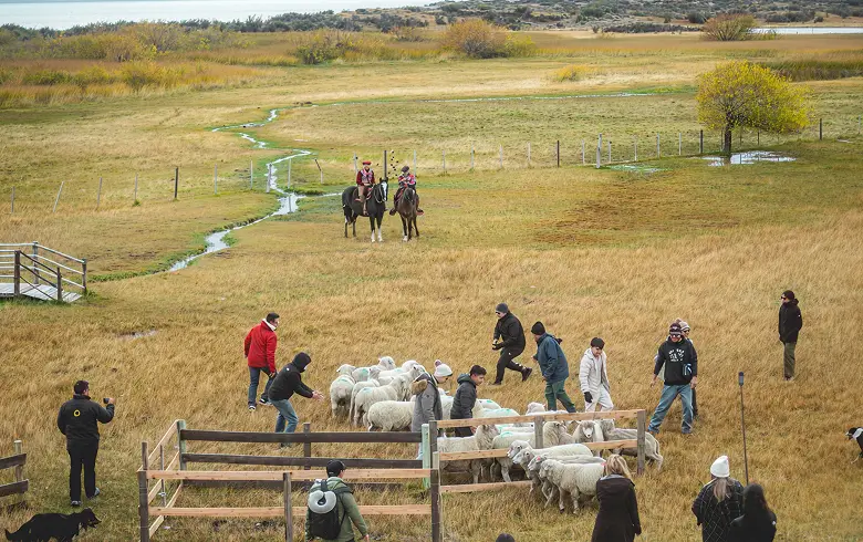 Tarde de campo-1 (2)