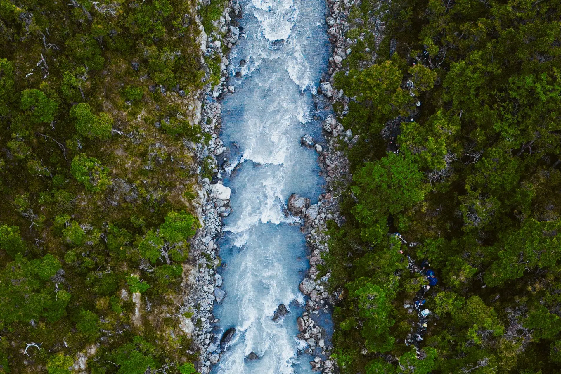 Mayo_08